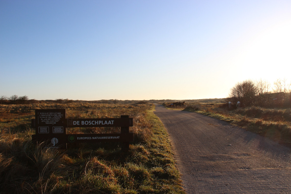 Europees natuurreservaat de Boschplaat en Darksky Park op Terschelling