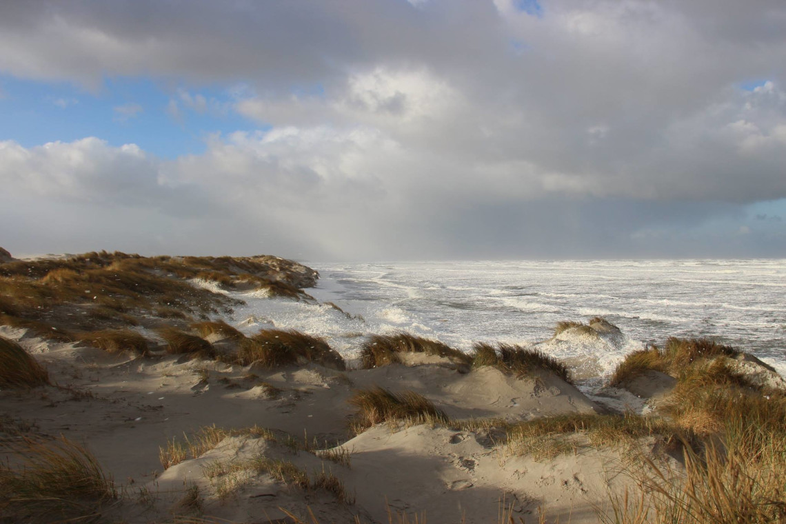 Herfststorm Noordzeestrand Terschelling