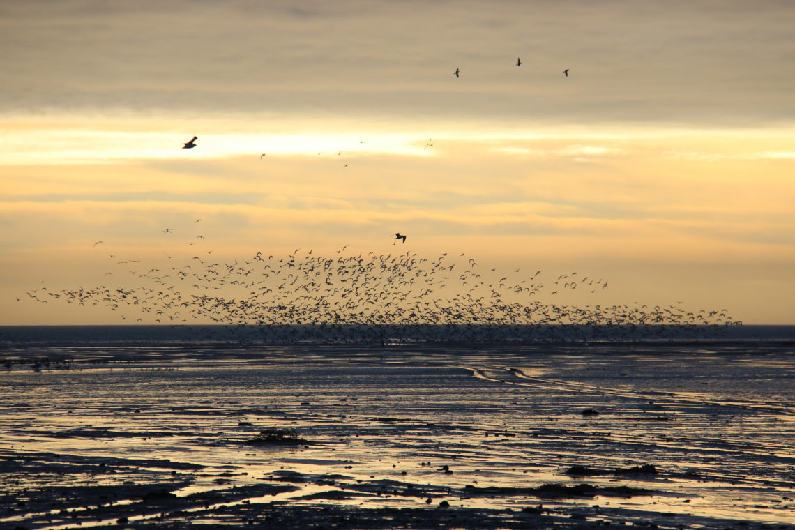 Amelander gat Terschelling bij Zonsondergang